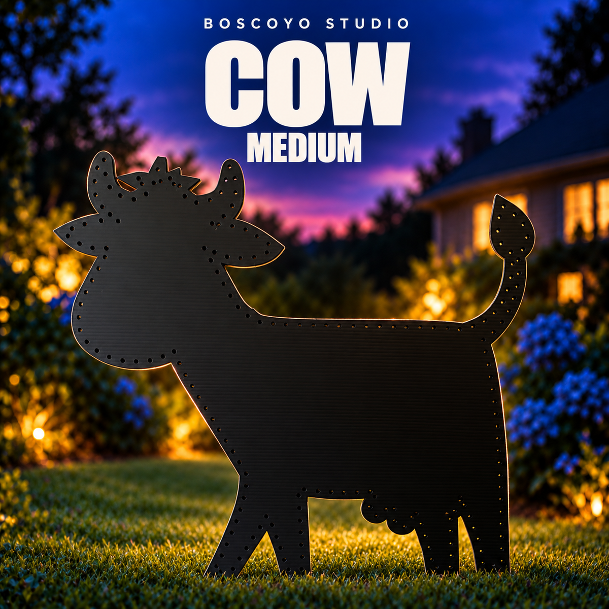 Cow medium bare coro product in an evening yard setting