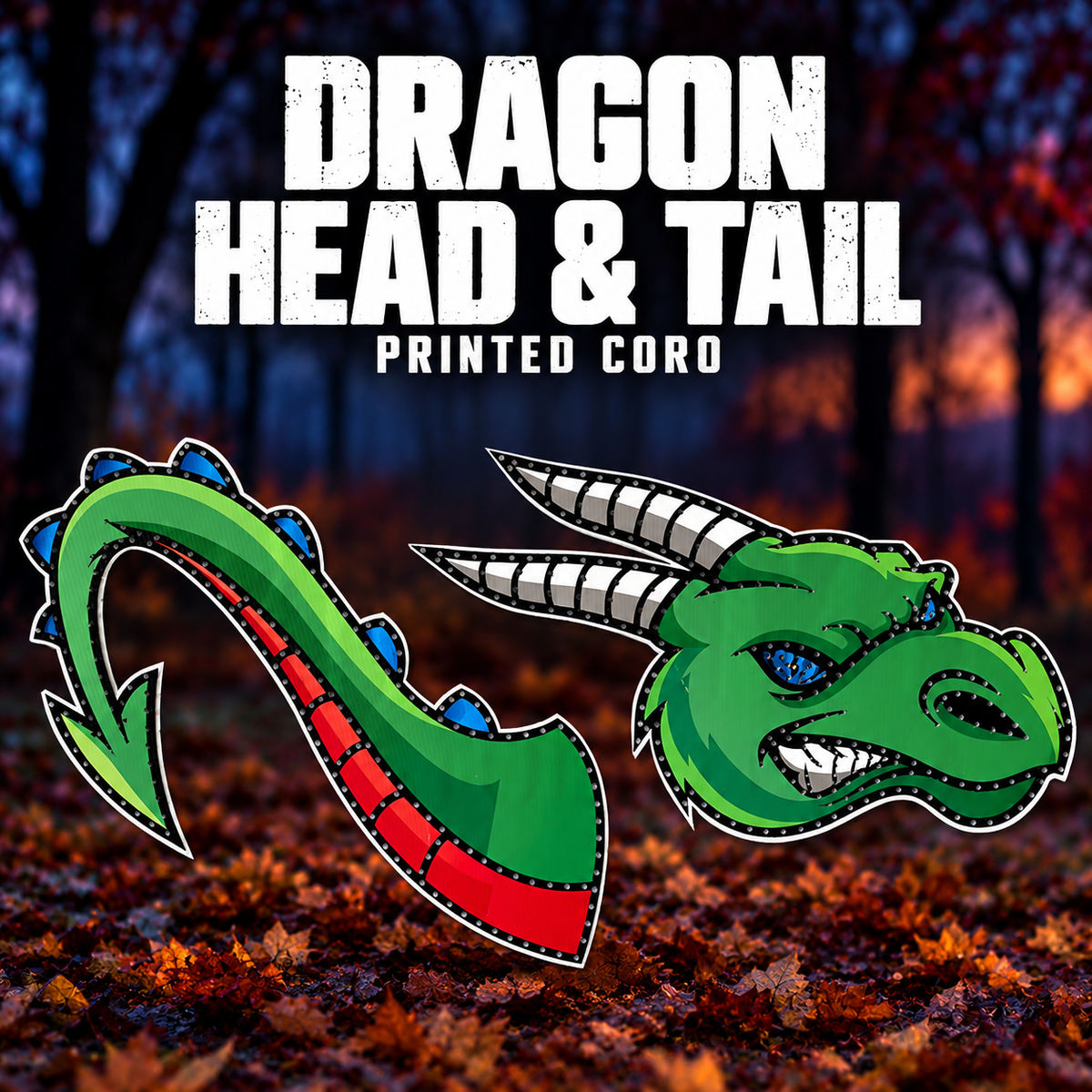 DayCorO Dragon Head and Tail printed coro panels, with their green and red printed artwork and pixel-hole layout shown unlit.