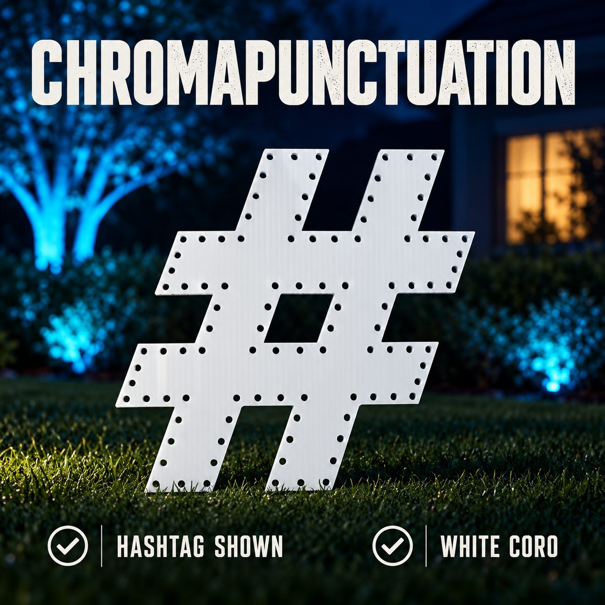 Chromapunctuation — exact product and shown variant