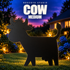 Cow medium bare coro product in an evening yard setting