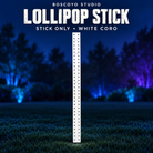 Boscoyo Lollipop Stick, single narrow white coro mounting strip with two columns of empty pixel holes, unlit on a dark blue evening yard.