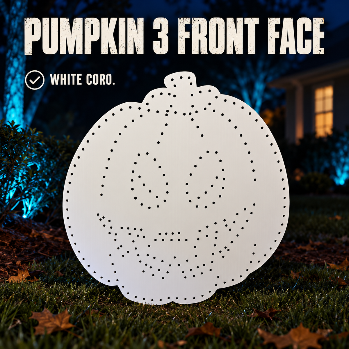 Boscoyo Pumpkin 3 Front Face white coro prop with empty pixel holes