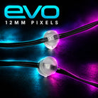 EVO 12mm pixels showing the clear pixel housing and black flat three-wire cable.